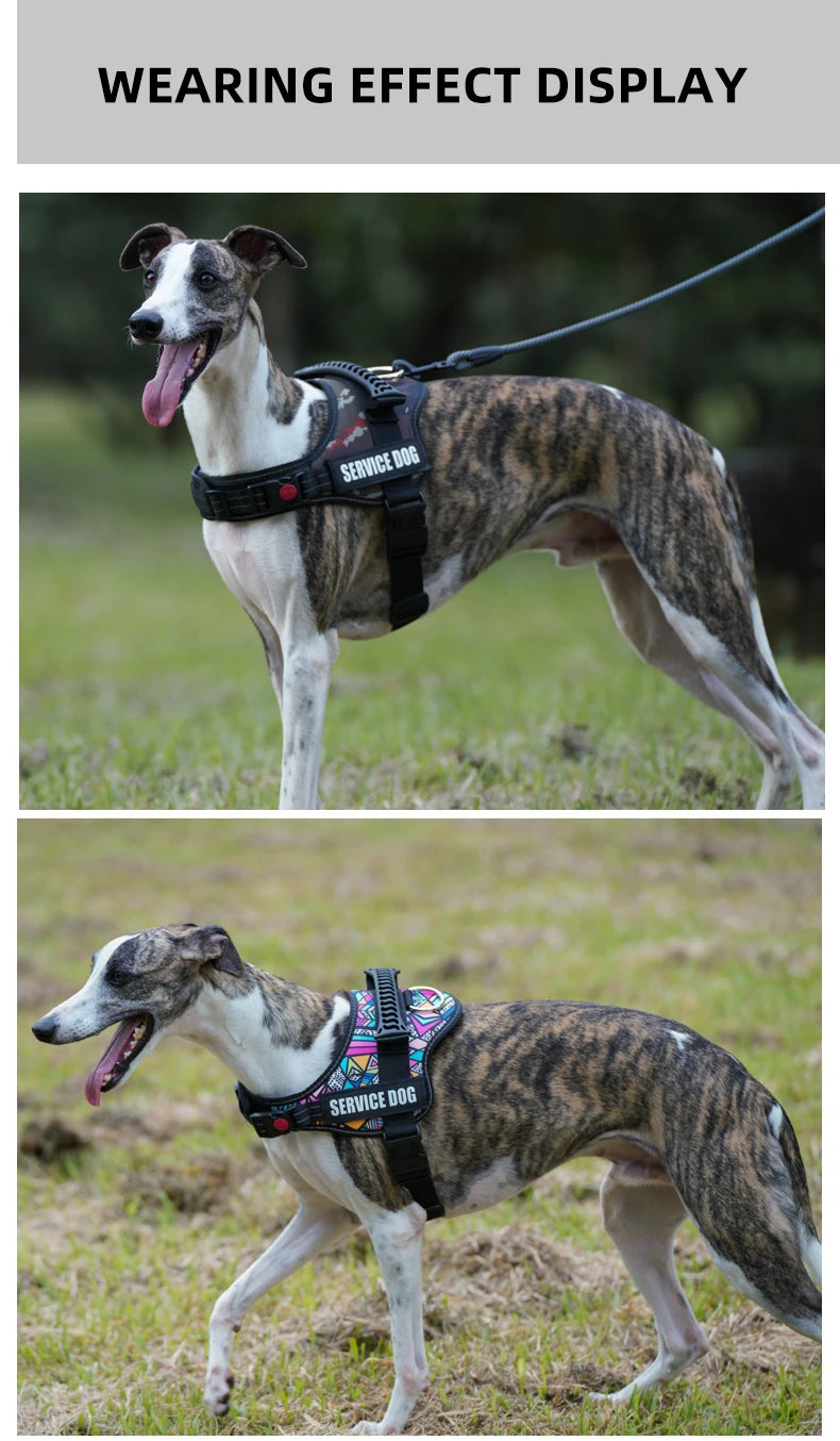 Adjustable No-Pull Dog Harness with Reflective Straps