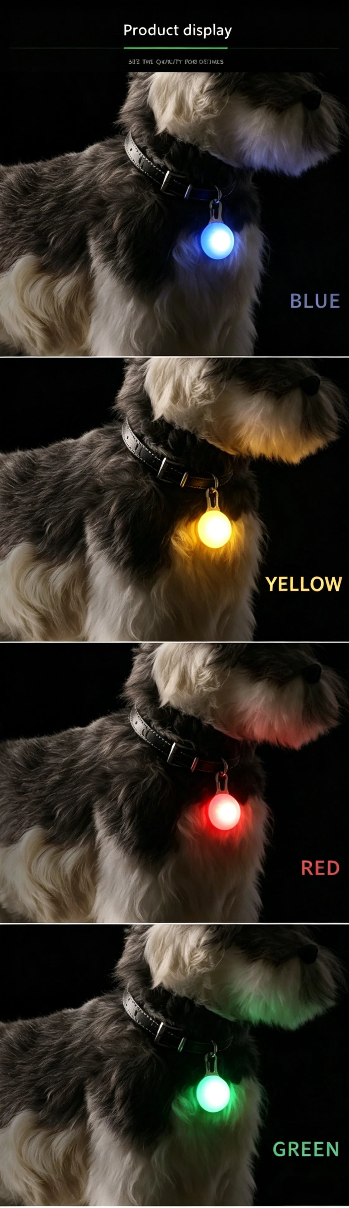 A dog wearing a black collar with a glowing blue LED light, yellow LED light, red LED light, and green LED light.