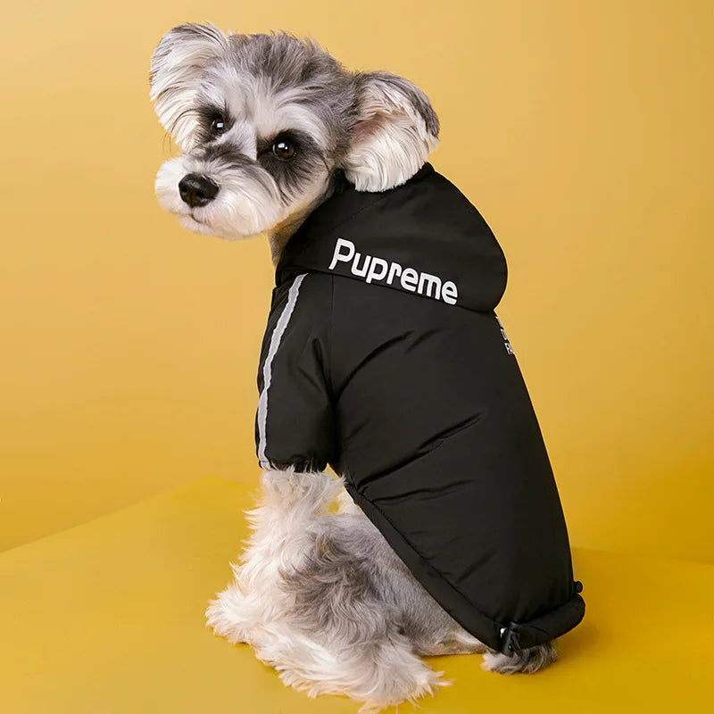 Un petit chien duveteux portant un manteau imperméable noir à bordure blanche et le logo Supreme sur fond jaune.