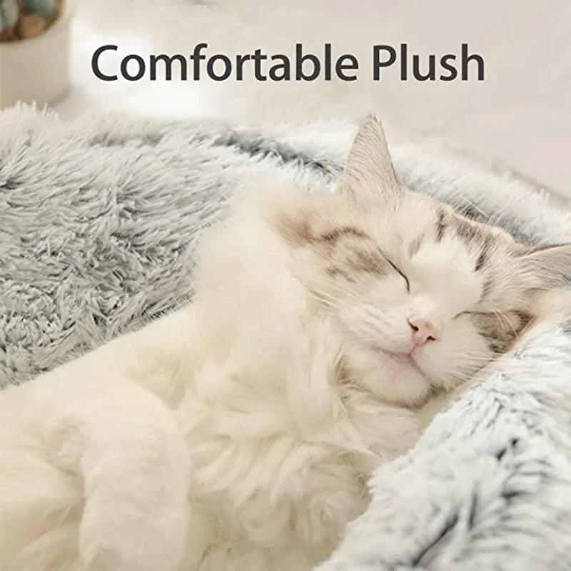 Un chat blanc et gris dort confortablement sur un lit en peluche gris moelleux.