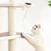 Interaktives elektrisches Katzenspielzeug mit aufsteigendem Ball