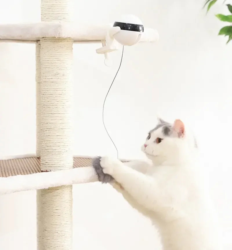 Eine weiße Katze interagiert mit einem elektrischen Spielzeug, das auf einer Holzkonstruktion montiert ist.