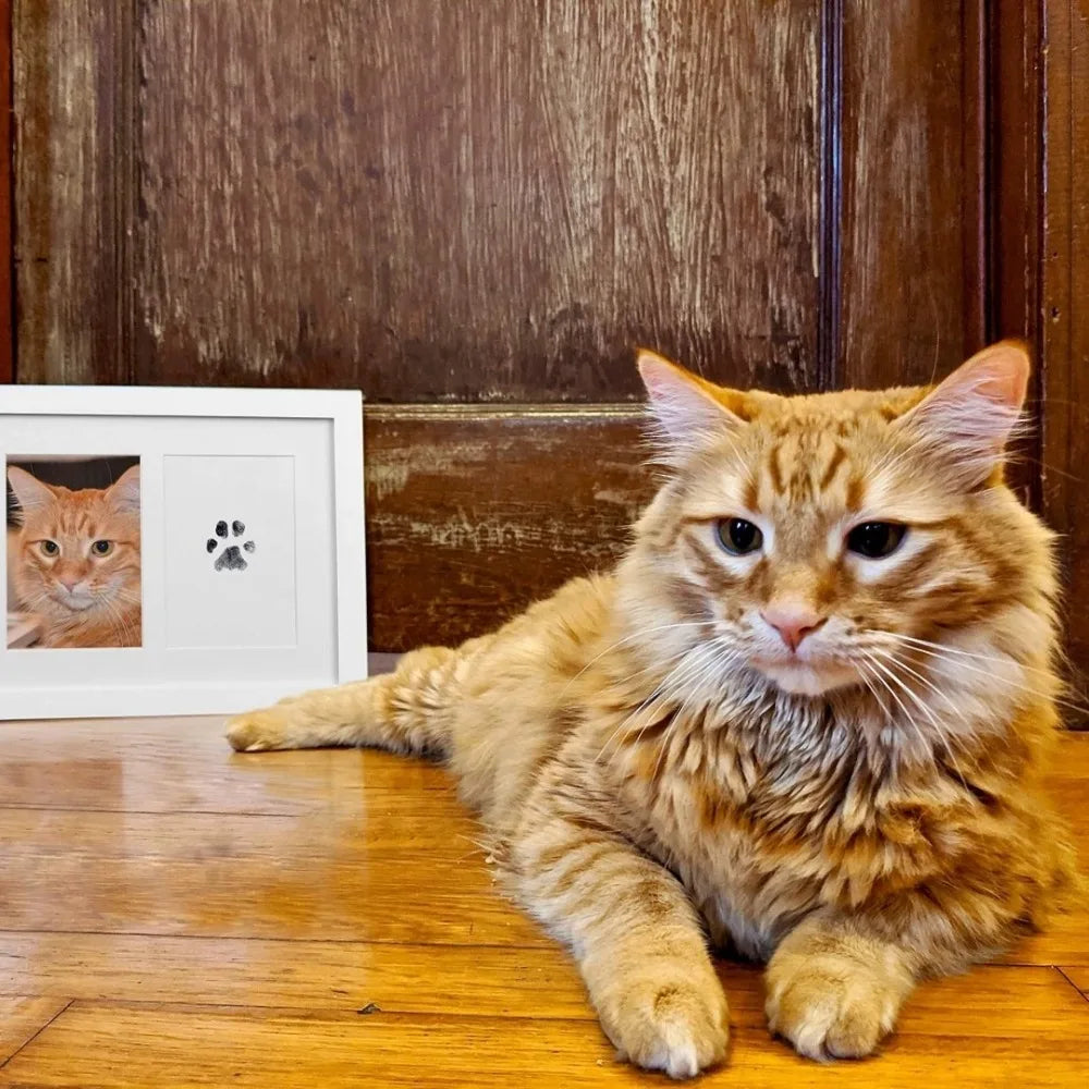 Pet Paw Print Keepsake Kit – Clean, Ink-Free Impression Pad
