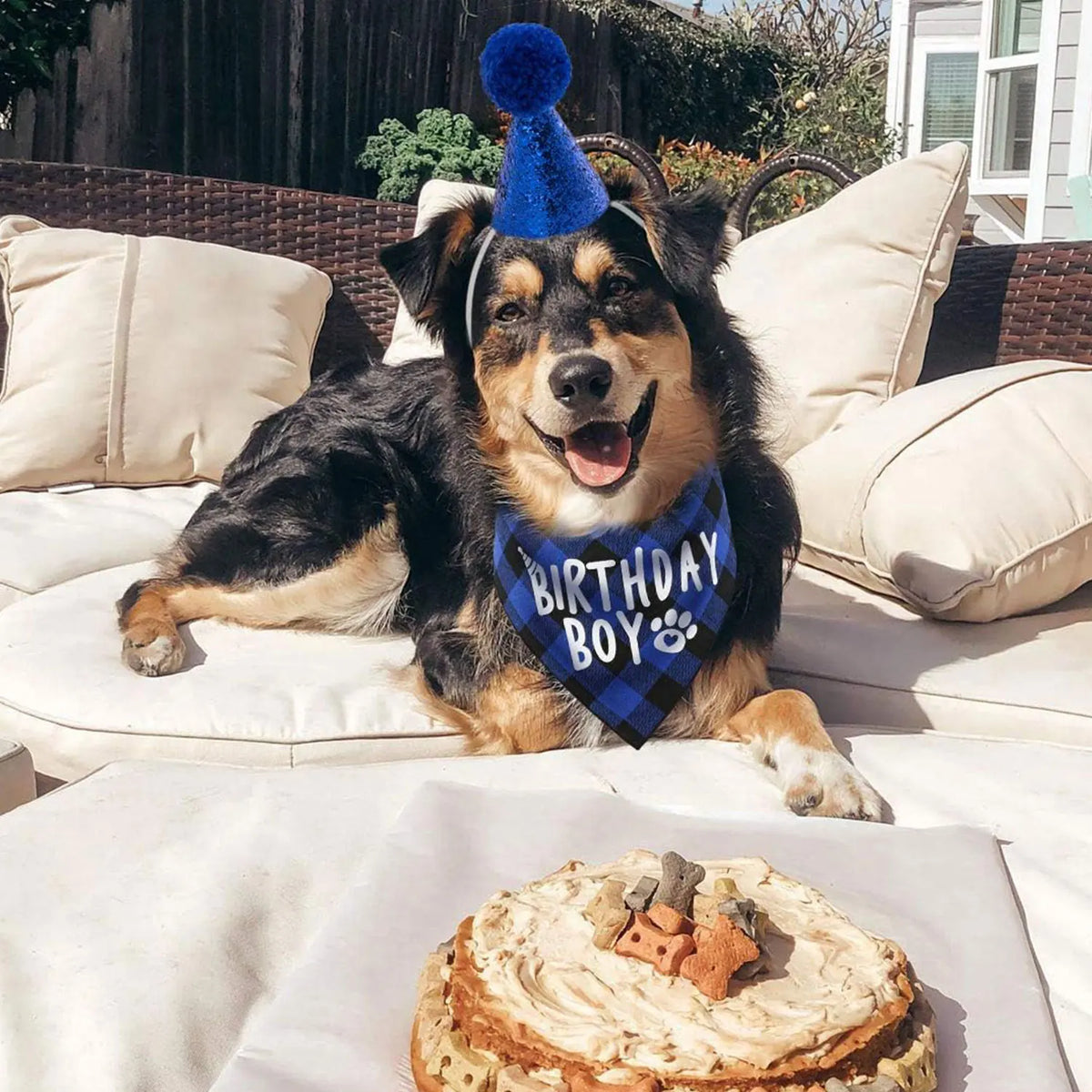 A happy dog wearing a blue party hat and bandana, lying on a white sofa with a cake in the foreground.