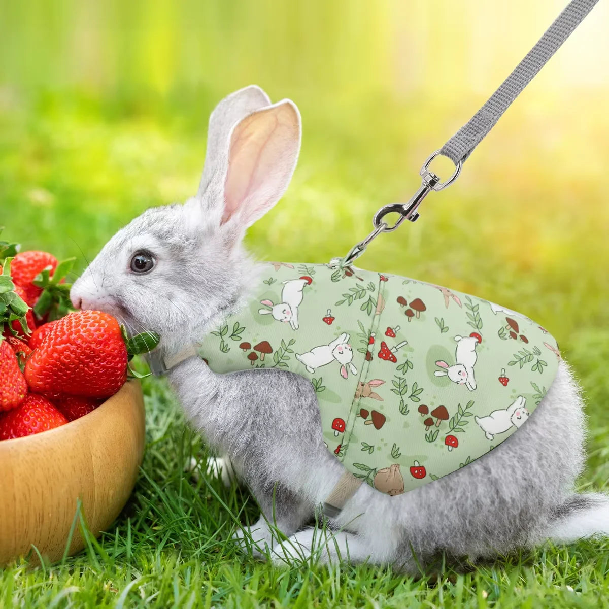 A gray rabbit wearing a green printed harness vest with a leash in a grassy outdoor setting.