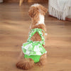 Cute Printed Reusable Dog Diaper Pants for Small Breeds