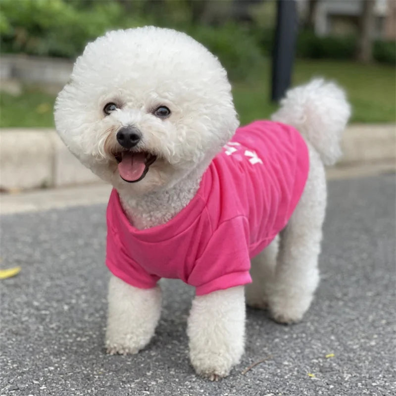 A fluffy white dog wearing a pink sweet print cotton vest outdoors.