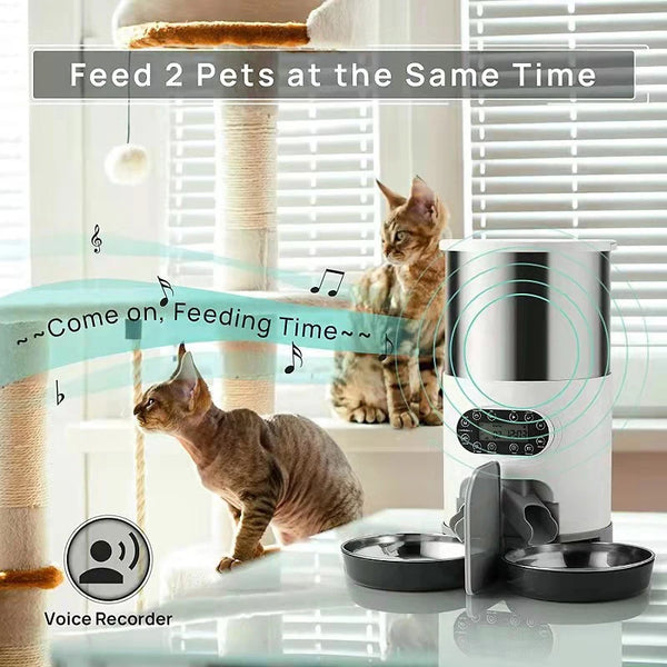 A smart automatic pet feeder with stainless steel bowls is shown feeding two cats simultaneously.