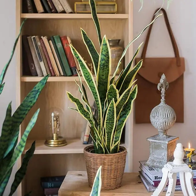 An artificial snake plant in a woven pot displayed on a wooden shelf with books and decorative items.