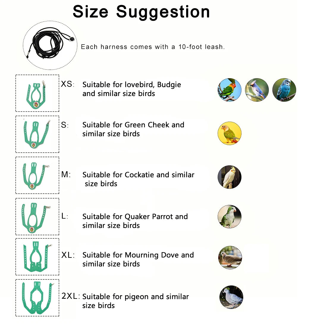 Size suggestion chart for an adjustable parrot harness and elastic leash set showing sizes XS to 2XL