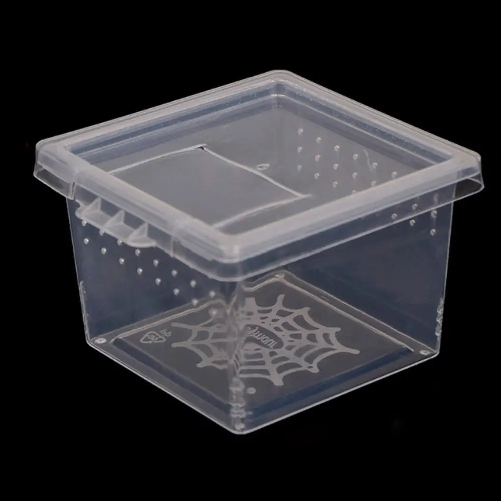 A clear plastic reptile habitat box with ventilation holes and a decorative spiderweb design.