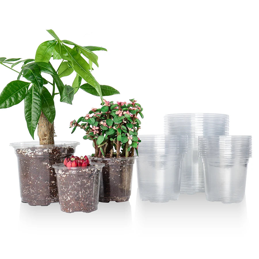 Clear Plastic Nursery Pots with Drainage Holes (Pack of 30)