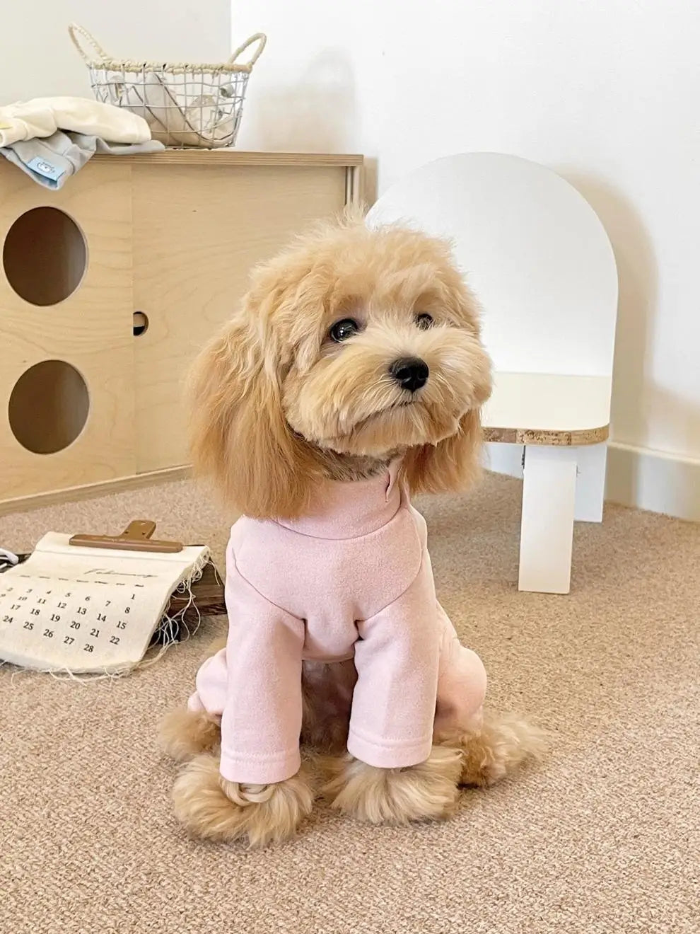 Comfy Four-Leg Pet Pajamas for Small and Medium Dogs & Cats