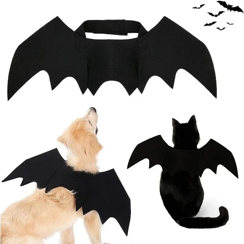 Black bat wings pet costume with a pumpkin bell for cats and small dogs