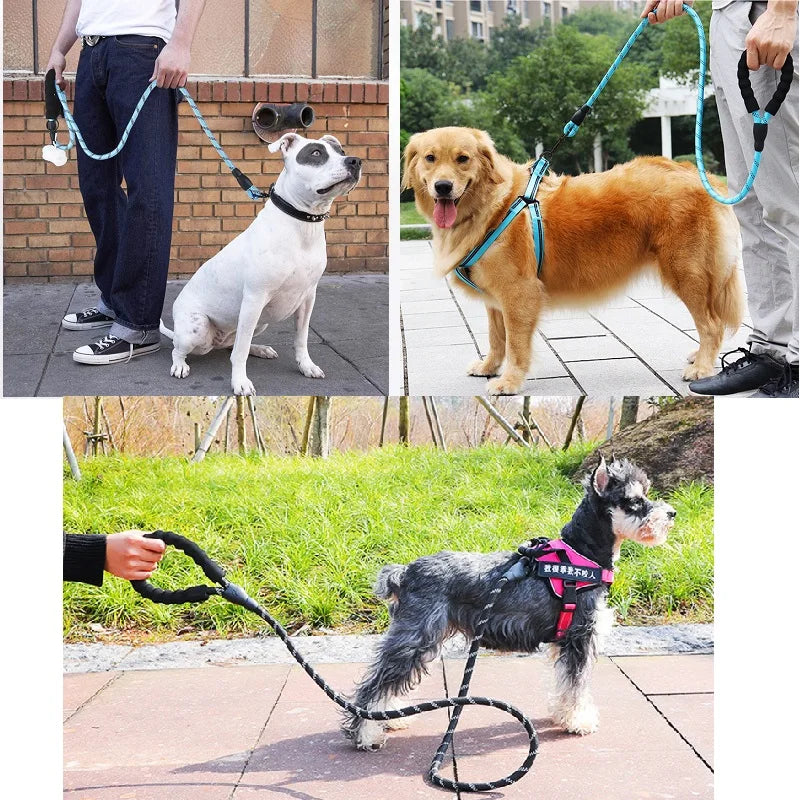 A dog is being walked on a reflective nylon leash with a soft handle by a person.