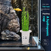 A clear plastic hydroponic planting cup with green plants inside, displayed in a glass aquarium tank.