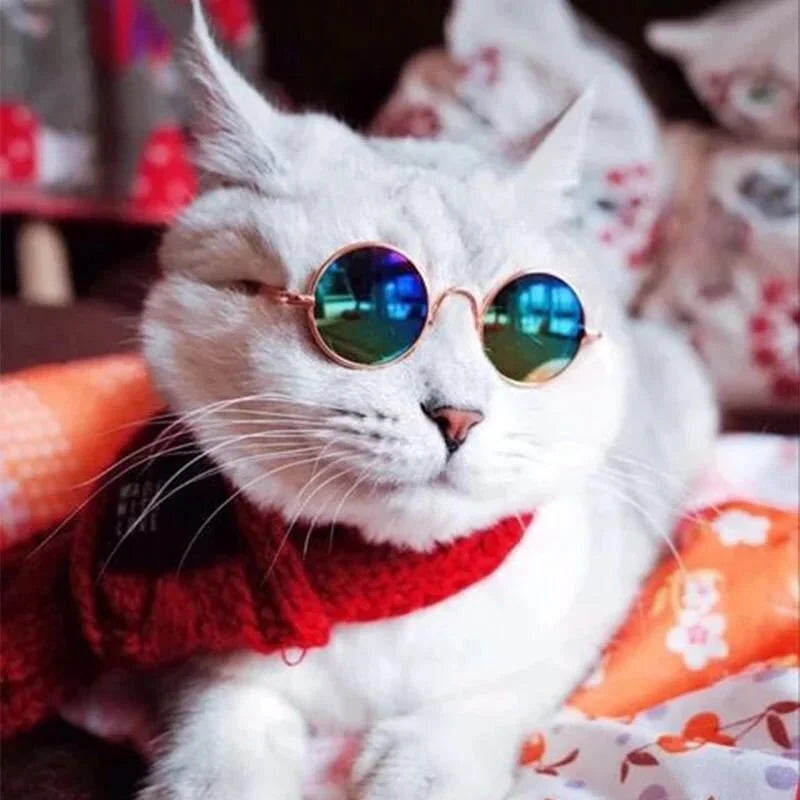 Non-Slip Pet Sunglasses for Cats & Small Dogs