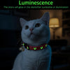 A white cat wearing a glow-in-the-dark collar with a moon pendant looking upwards.