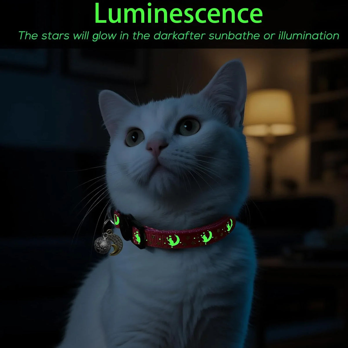 A white cat wearing a glow-in-the-dark collar with a moon pendant looking upwards.