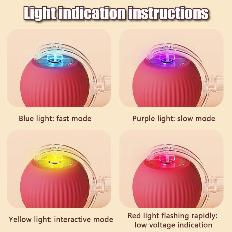 Anleitungshervorhebung mit blauen, lila, gelben und roten Lichtmodi auf einem pinken Rollspielzeug für Haustiere.