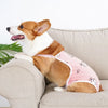Adjustable Dog Diaper Pants with Suspenders
