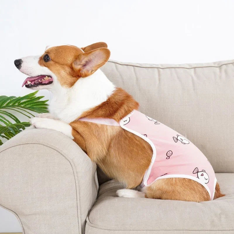 Adjustable Dog Diaper Pants with Suspenders