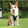 Adjustable Mesh Dog Harness Vest for Small and Medium Pets