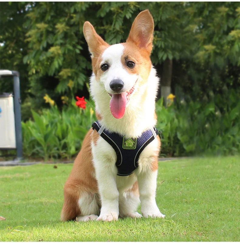 Adjustable Mesh Dog Harness Vest for Small and Medium Pets