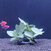 Artificial Aquarium Plant Decor - Turtle Tree Trunk Plastic