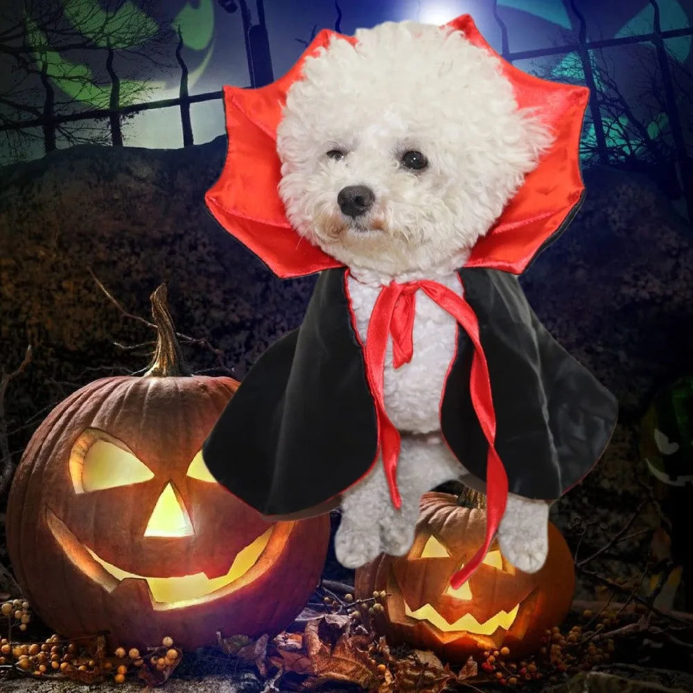 Vampire Cape Pet Costume for Cats and Small Dogs