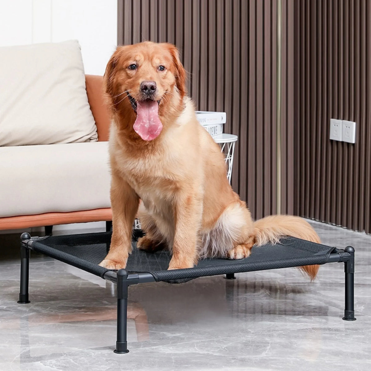 Foldable Elevated Pet Bed with Removable Washable Cover