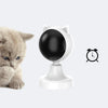 Automatic Laser Cat Toy with Motion-Activated Play