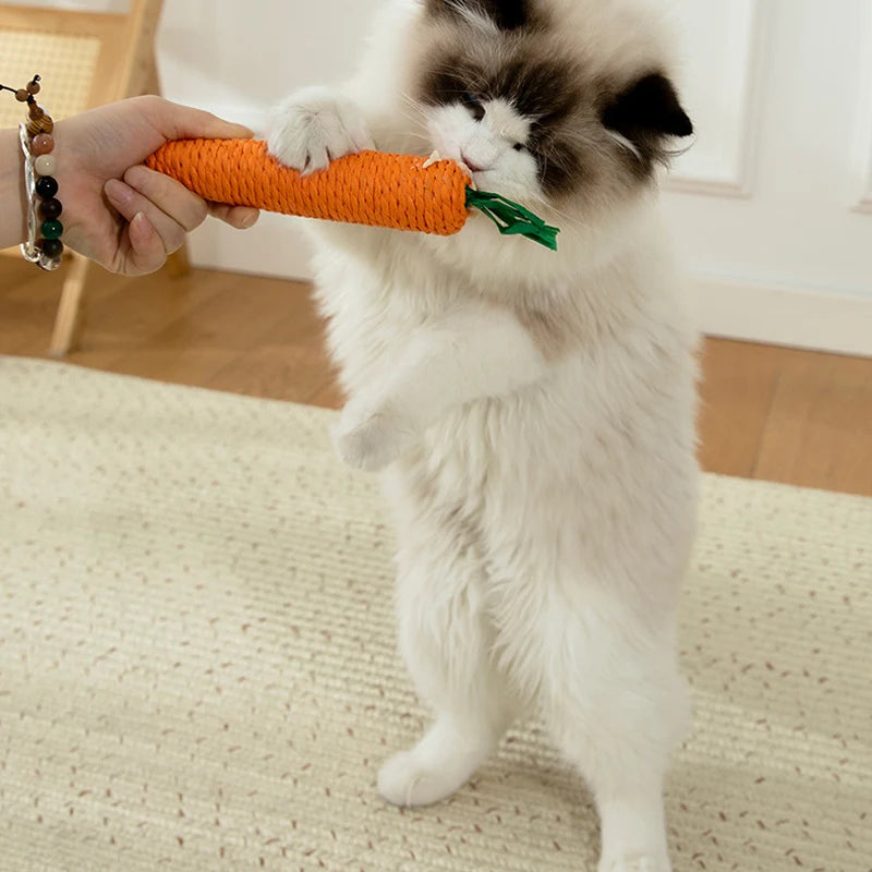 Karottenförmiges Quietschspielzeug für Katzen