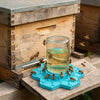 Honeycomb Bee Water Feeder with Perch for Garden and Patio