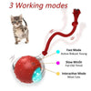 Motion-Activated Cat Toy Ball with Bird Chirping Sounds