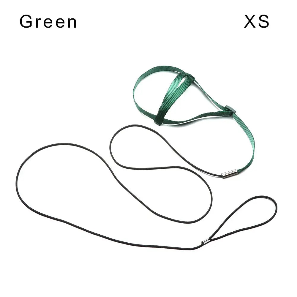 Green comfortable bird harness with adjustable flight leash
