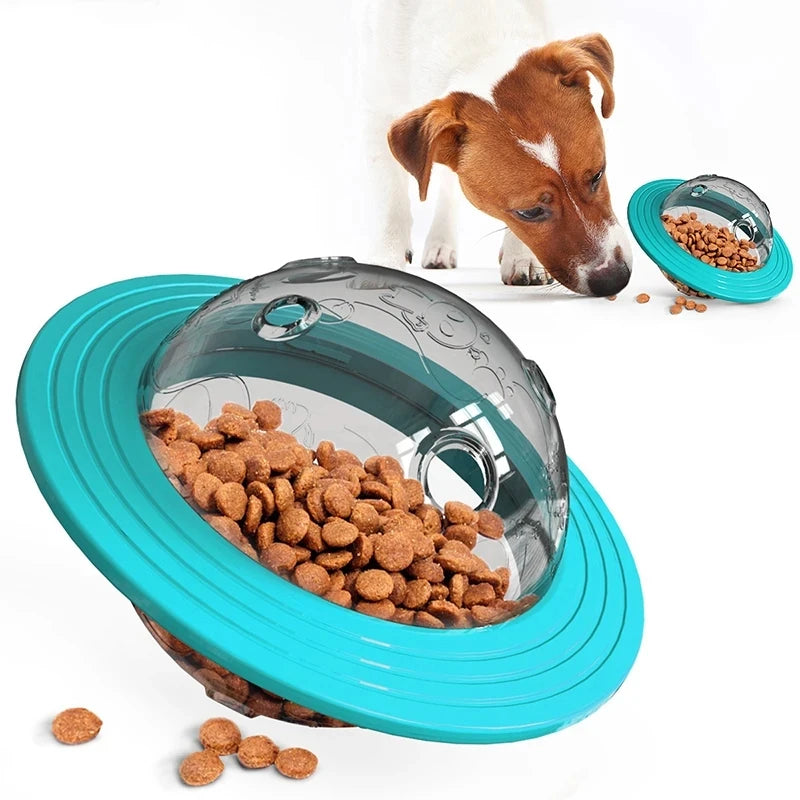 Un cuenco para comida de mascotas de silicona azul con cúpula transparente lleno de premios secos para perro, junto a un perr