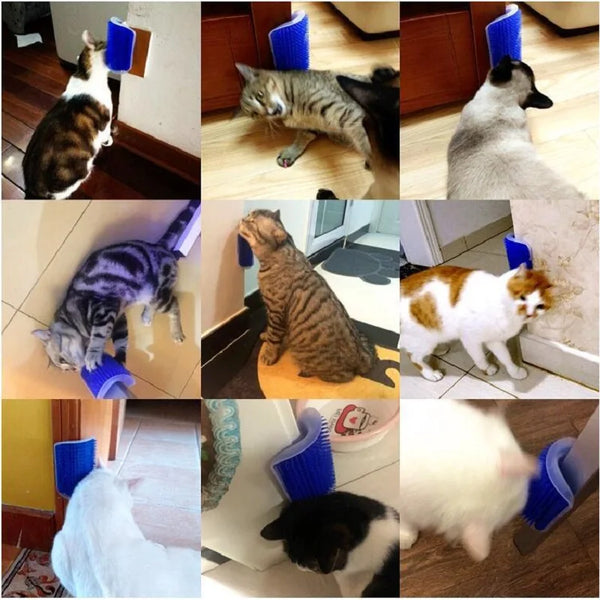 Cat Scratcher Massager and Grooming Brush