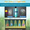 5-in-1 Silent Aquarium Filter with UV Sterilizer