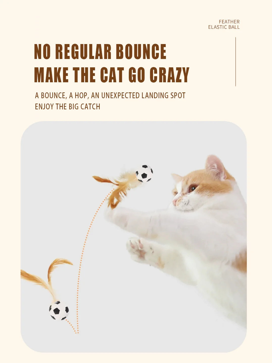 A cat is mid-air batting at a feather elastic ball, demonstrating a bounce.