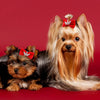 A fluffy golden-colored dog with long hair is shown next to a smaller brown dog wearing a red glitter bow clip.