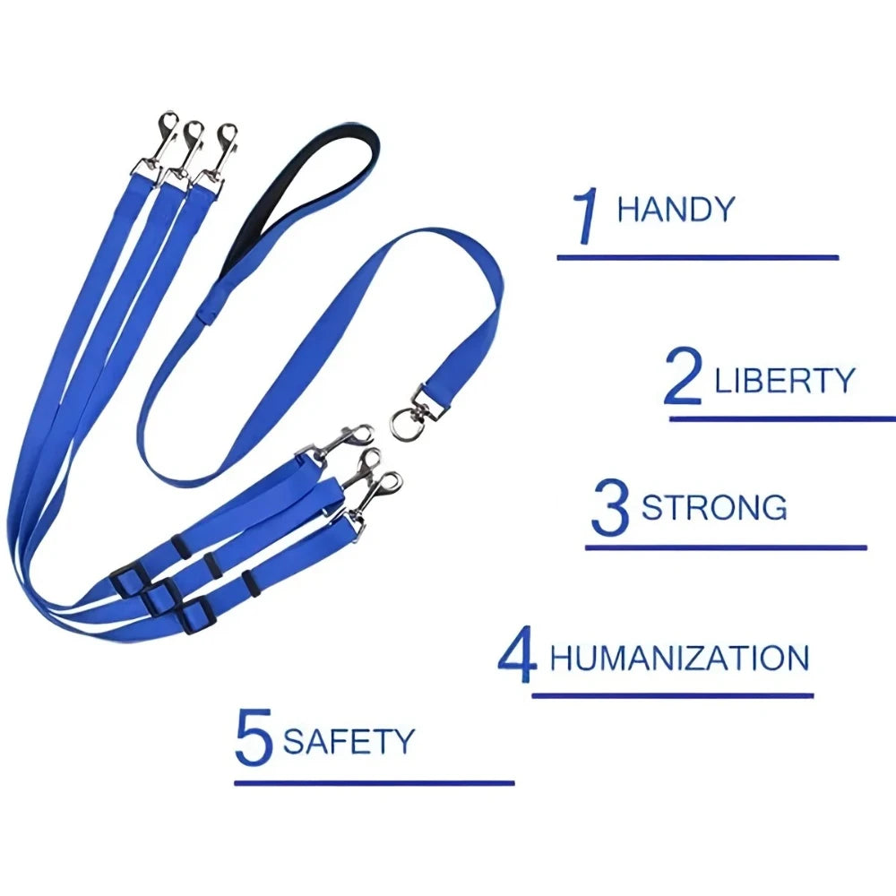 A blue nylon dog leash with a padded handle is shown, highlighting five features: handy, liberty, strong, humanization, and s