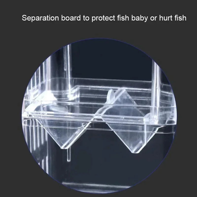 Acrylic Fish Breeding Isolation Box with Double Compartments