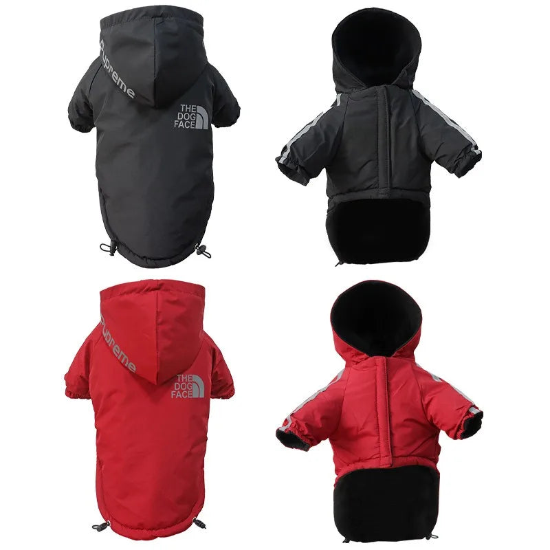 Un ensemble de trois manteaux pour chiens imperméables en noir, gris et rouge pour protection et visibilité.
