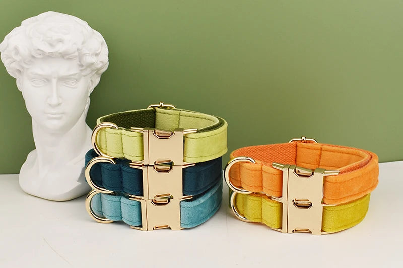 A set of three velvet dog collars in green, blue, and orange with gold hardware displayed next to a white bust.