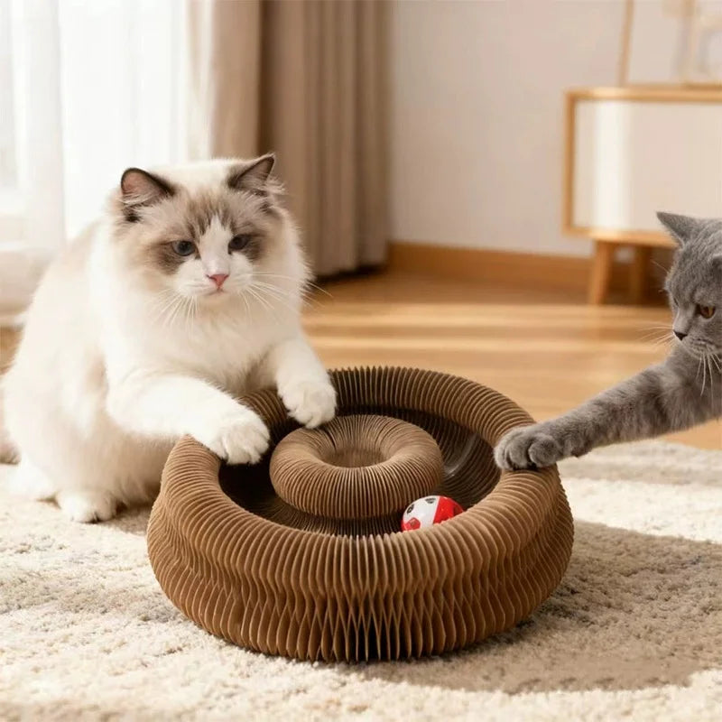 A fluffy white cat is interacting with a brown foldable cat scratcher board that has a ball and bell track on a light rug.