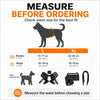 Dog Rear Leg Support Harness with Padded Lift Handle and Reflective Strips