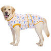 A light-colored Labrador dog wearing a patterned post-surgery recovery suit with yellow trim.