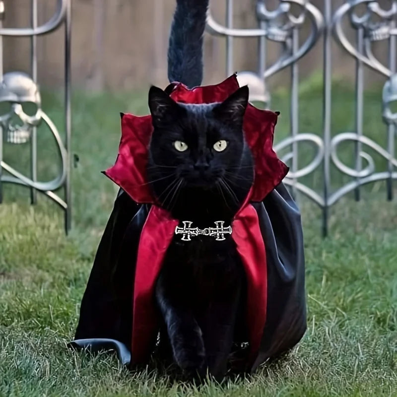 Halloween Vampire Cape & Collar Set for Cats