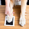 Inkless Paw Print & Handprint Keepsake Kit